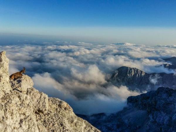 20 faits surprenants sur les montagnes que vous ne connaissez probablement pas !