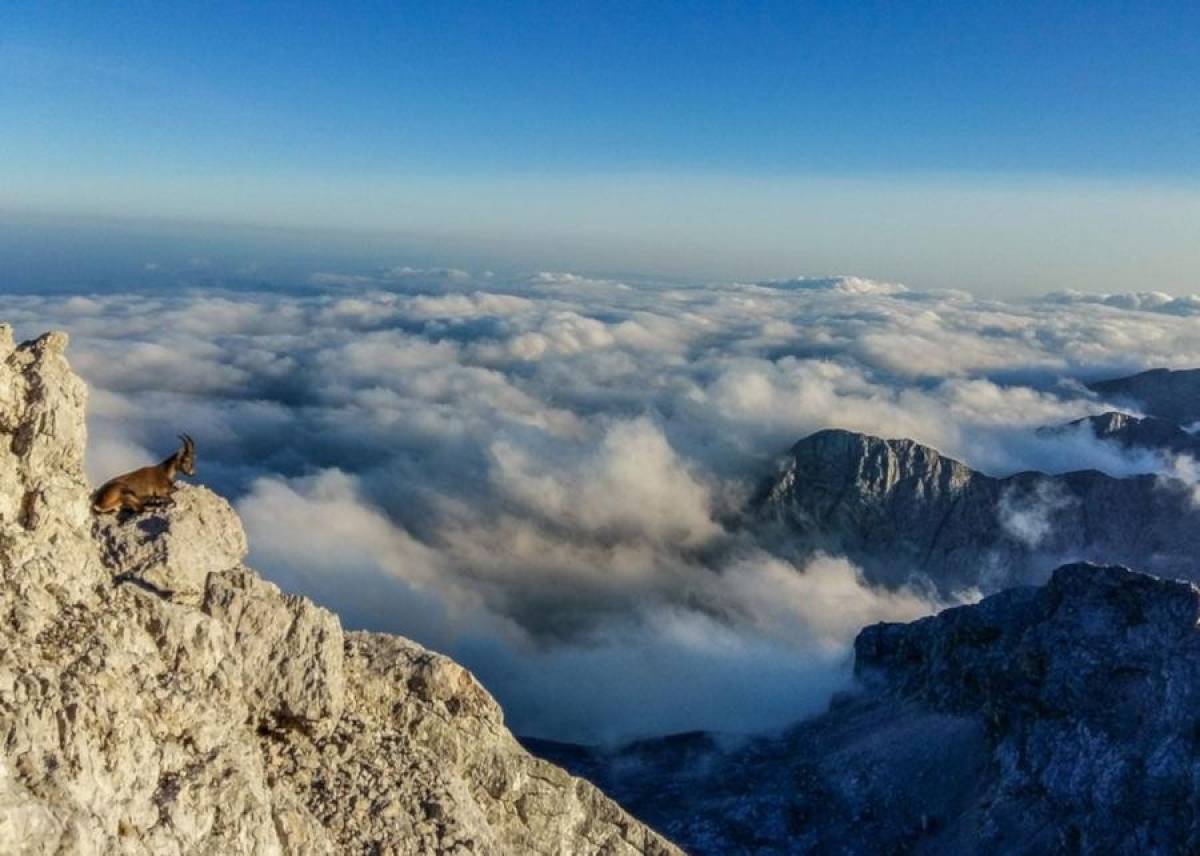 20 faits surprenants sur les montagnes que vous ne connaissez probablement pas !